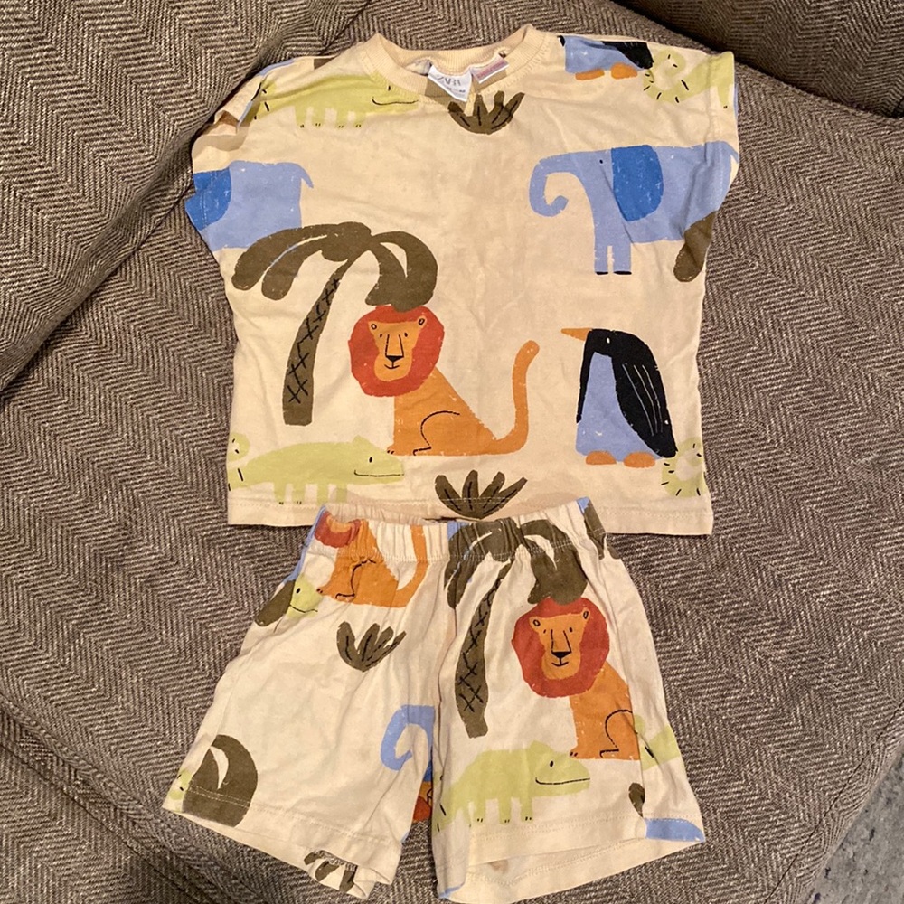 Zara two piece set.